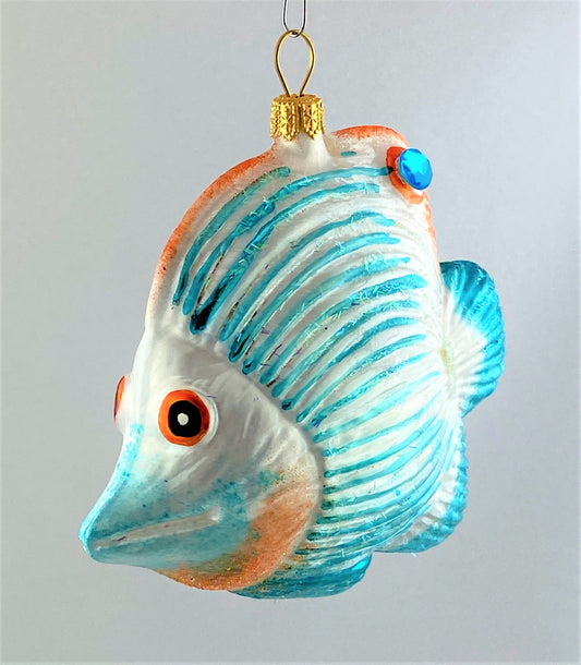 IMG_8482eB17lfYAnpqkn