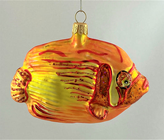 IMG_8496oFXTrybCBxmEj