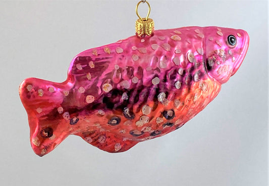 IMG_85335EMUr1guh26NF