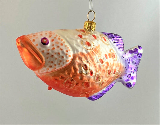 IMG_8541xVUK0it8poIjL