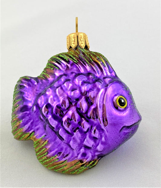 IMG_8561WOT1g92kOnUWU