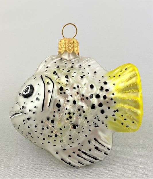 IMG_8572ZIvW09CuSXg2R