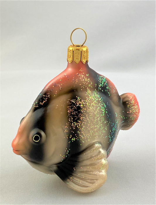 IMG_8584XqrICETjN2PsL