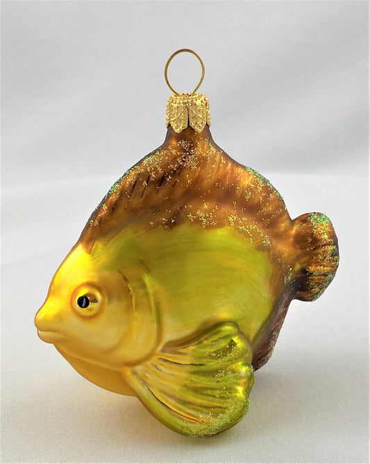 IMG_8588klikrLk7cqRL9