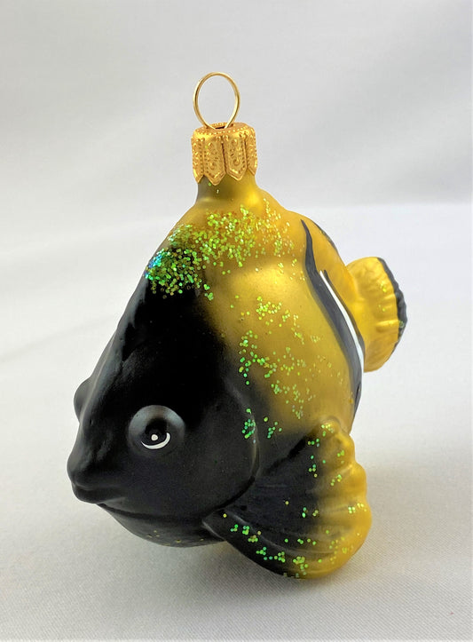 IMG_8594CNszWXTgrA6mt