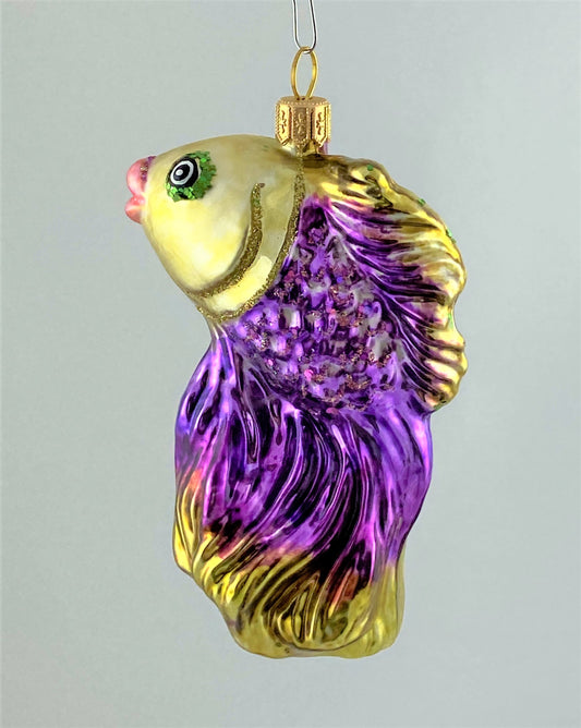 IMG_8612tT5D30oeRFkRx