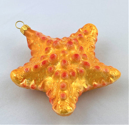 IMG_8649zXESzxfjNWNje