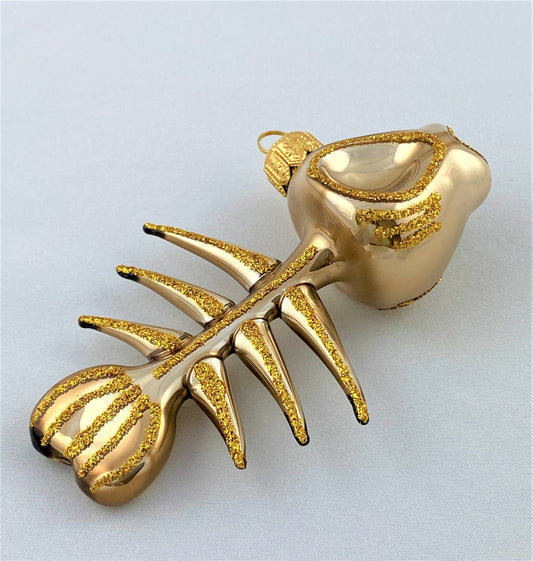 IMG_8668CGKQG99xOeVid