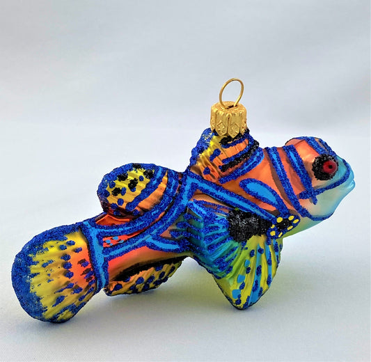 IMG_8760FnHtE1S0vVrkw