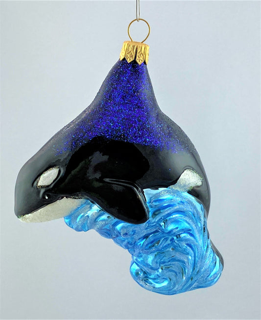 IMG_8891SV2YrHqoOP5cG