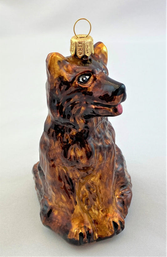 IMG_9309cEyE8Osr0SZ4J