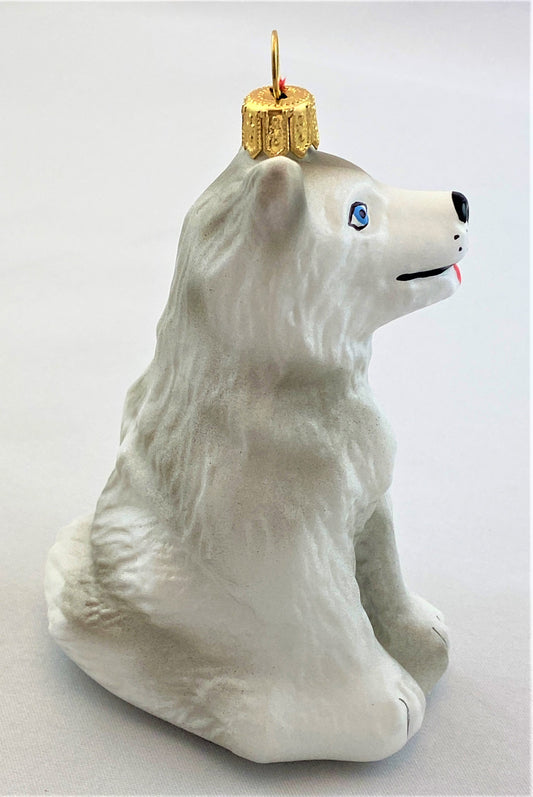 IMG_9313BVdwFBg5GMi2s