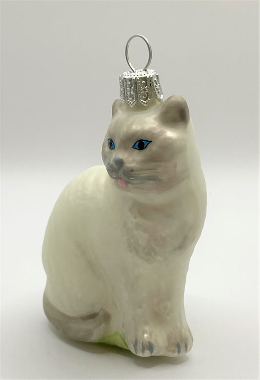 IMG_9586tPK0sIr5dsoA1