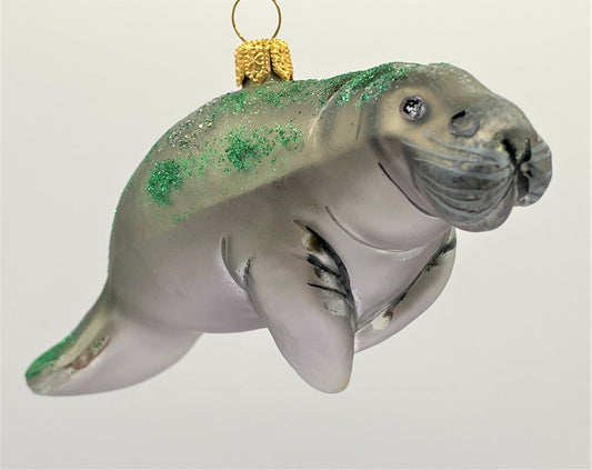 IMG_9949gC0tDfAH10B5x