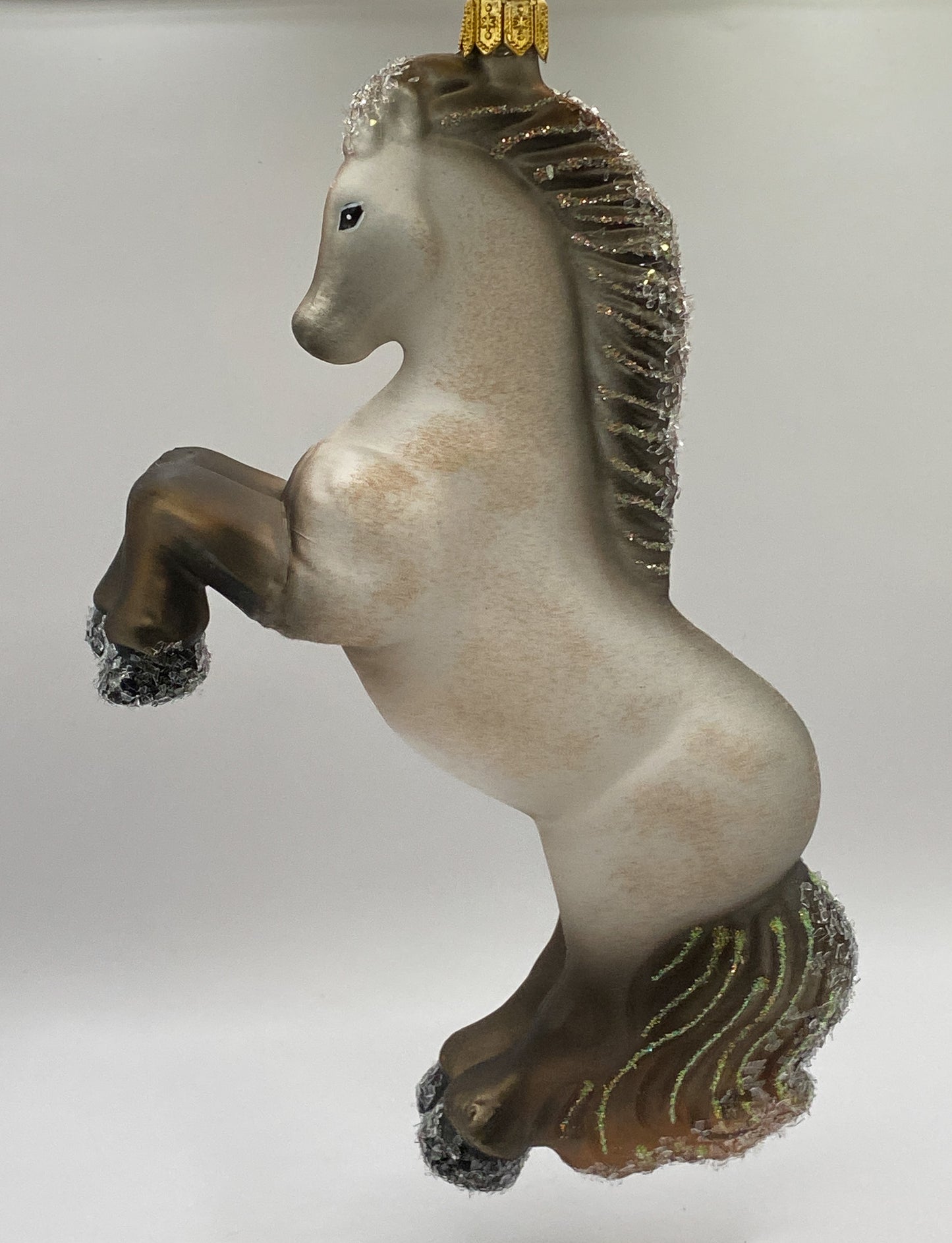 Andalusier Stute, Pferd