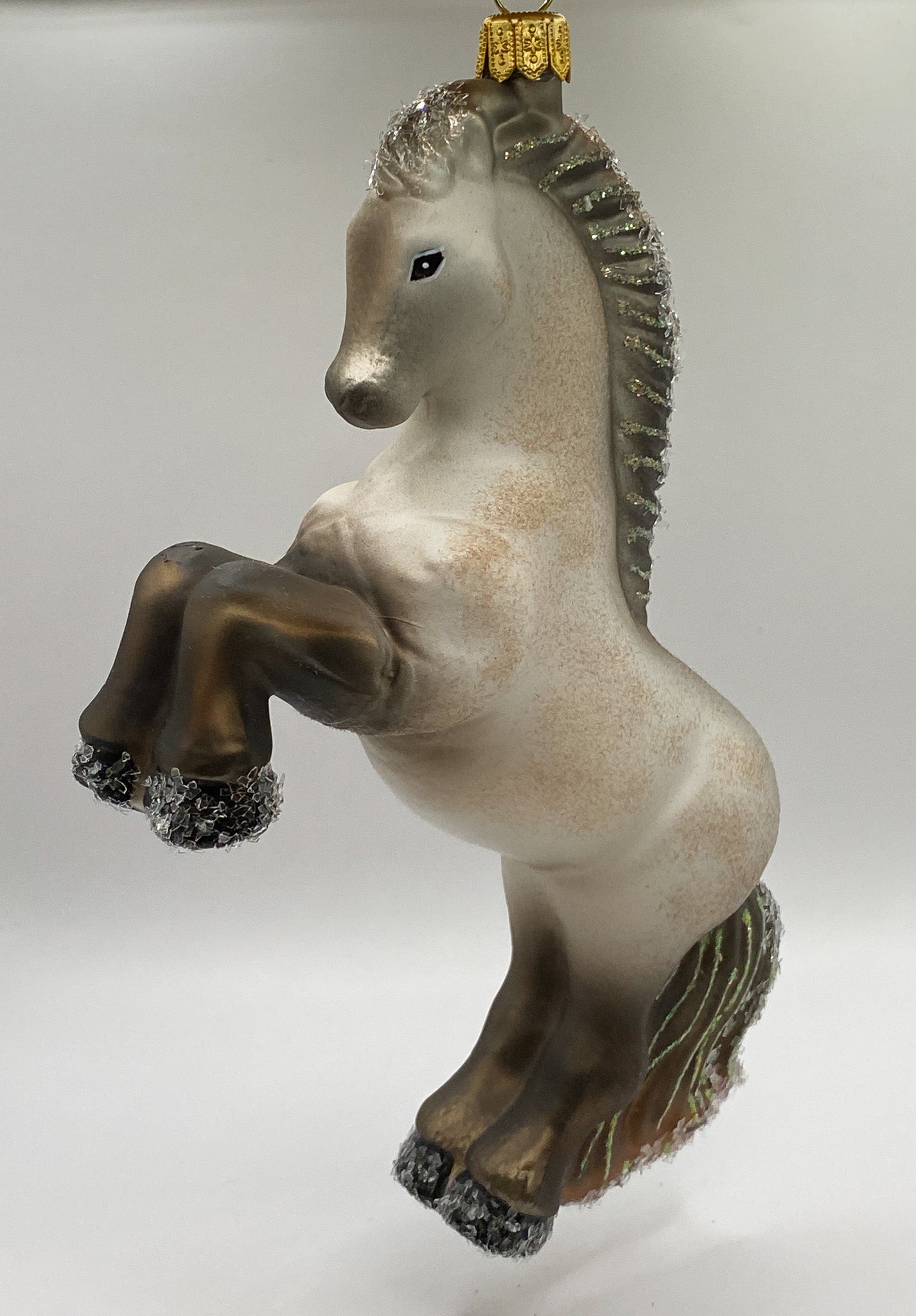 Andalusier Stute, Pferd