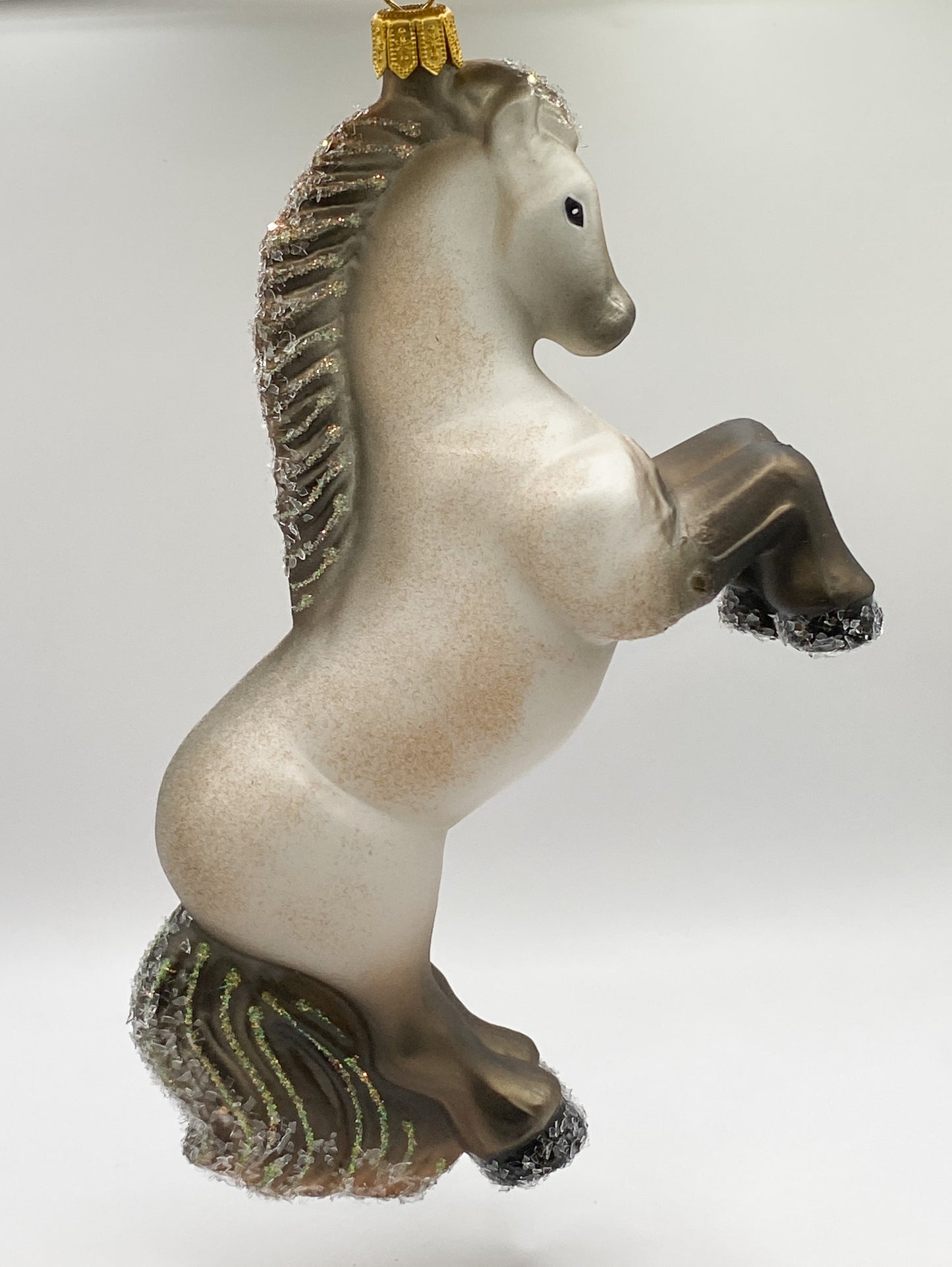 Andalusier Stute, Pferd