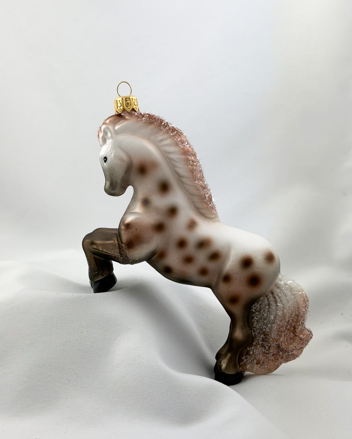 Appaloosa mare, horse