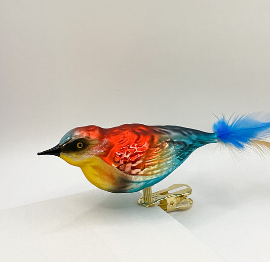 Bienenfresser auf Clip