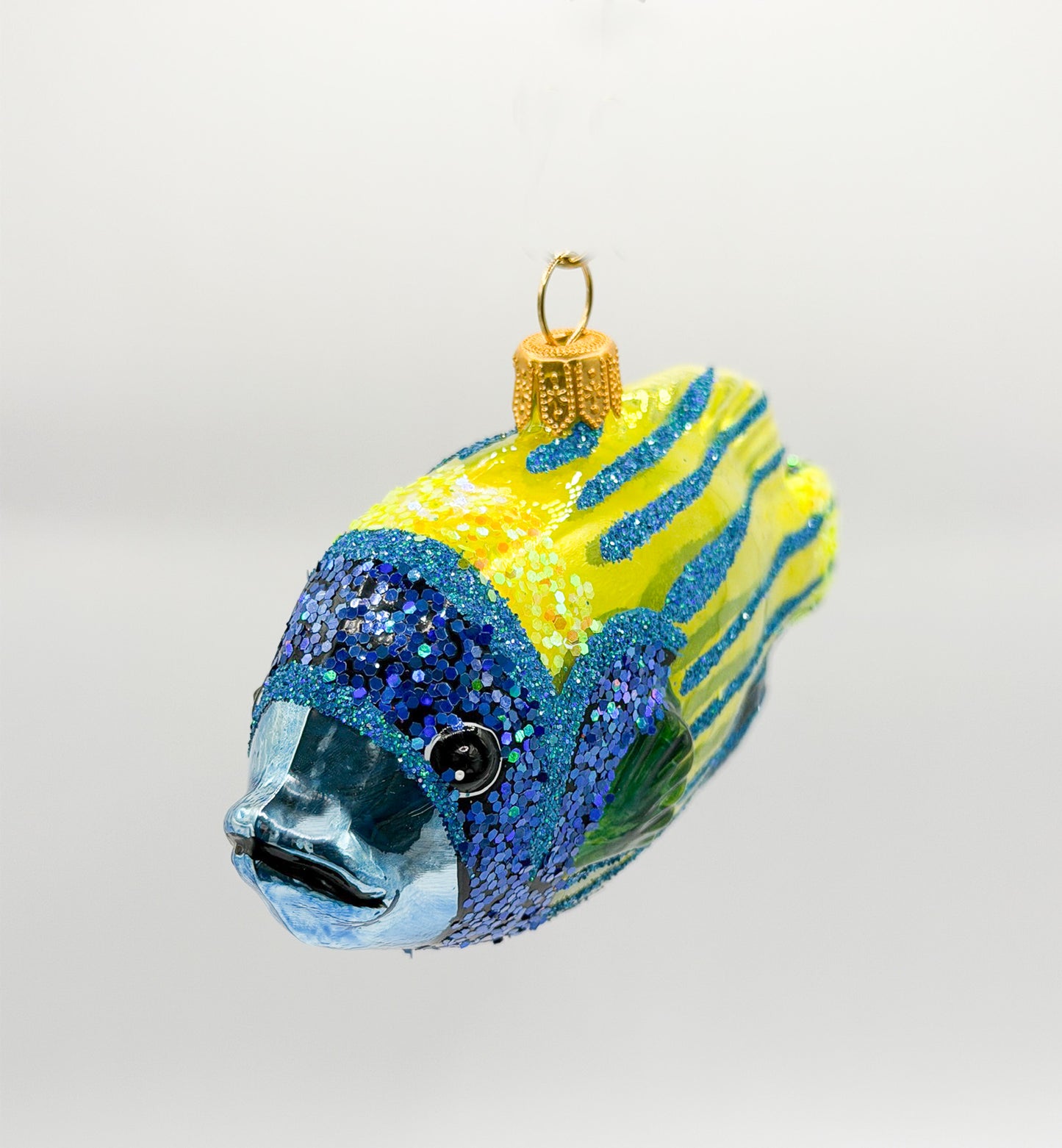 Bluetip Grouper Reef Fish