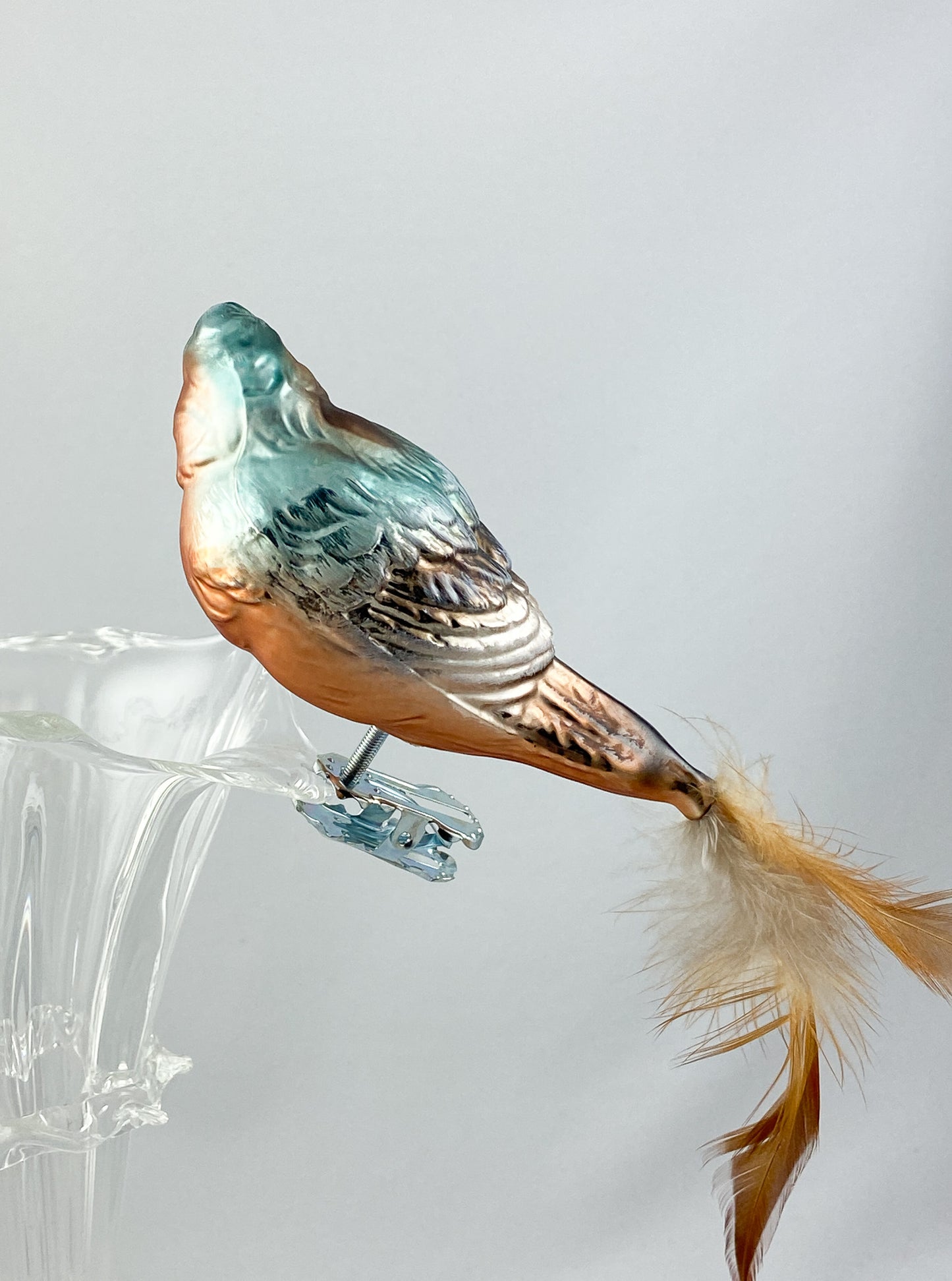 Buchfink auf Clip mit Naturfeder