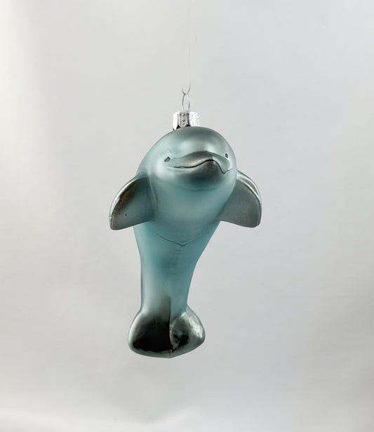 Jumping dolphin