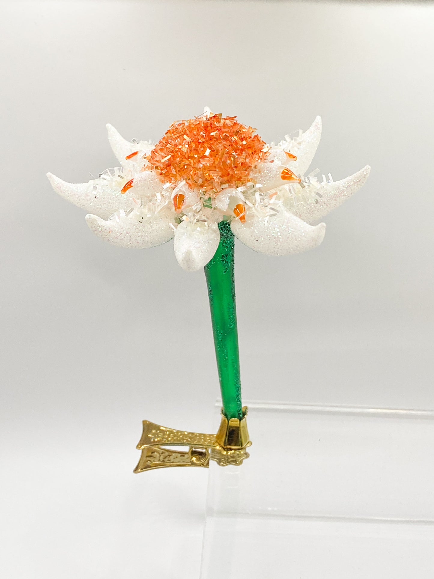 Edelweiss on clip