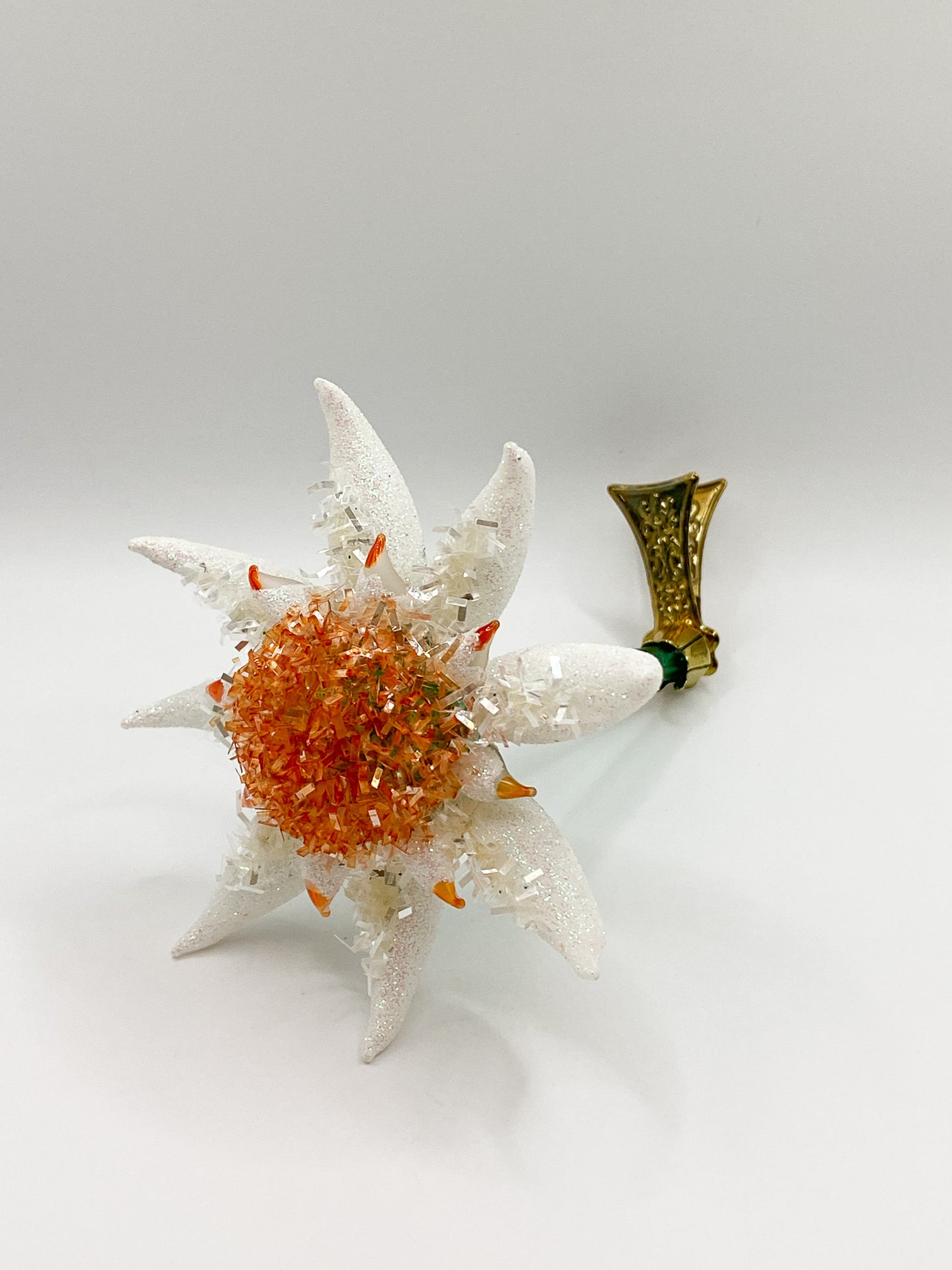 Edelweiss on clip