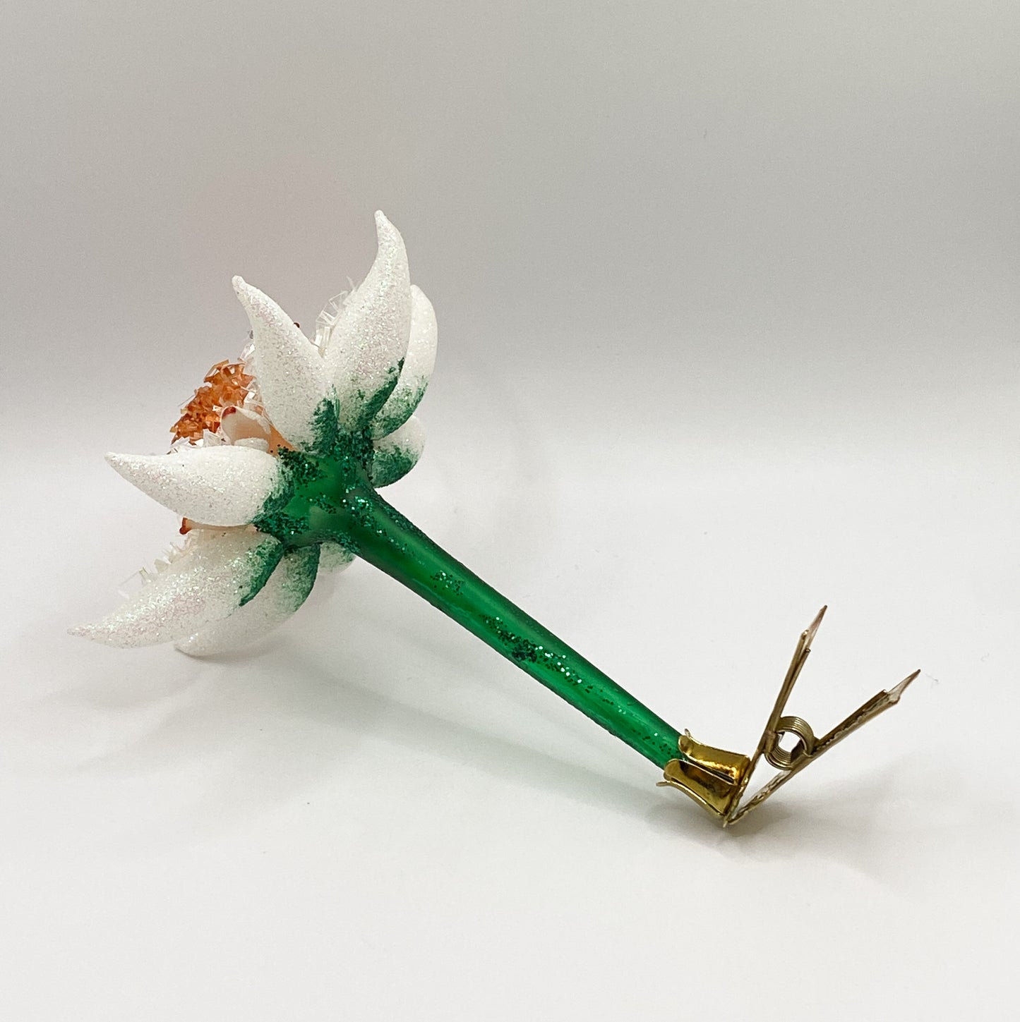 Edelweiss on clip