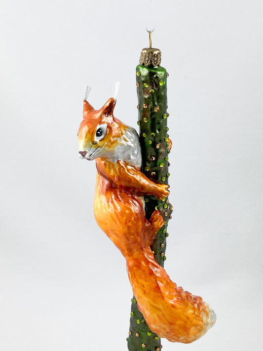 Squirrel climbing on branch AtlasArt