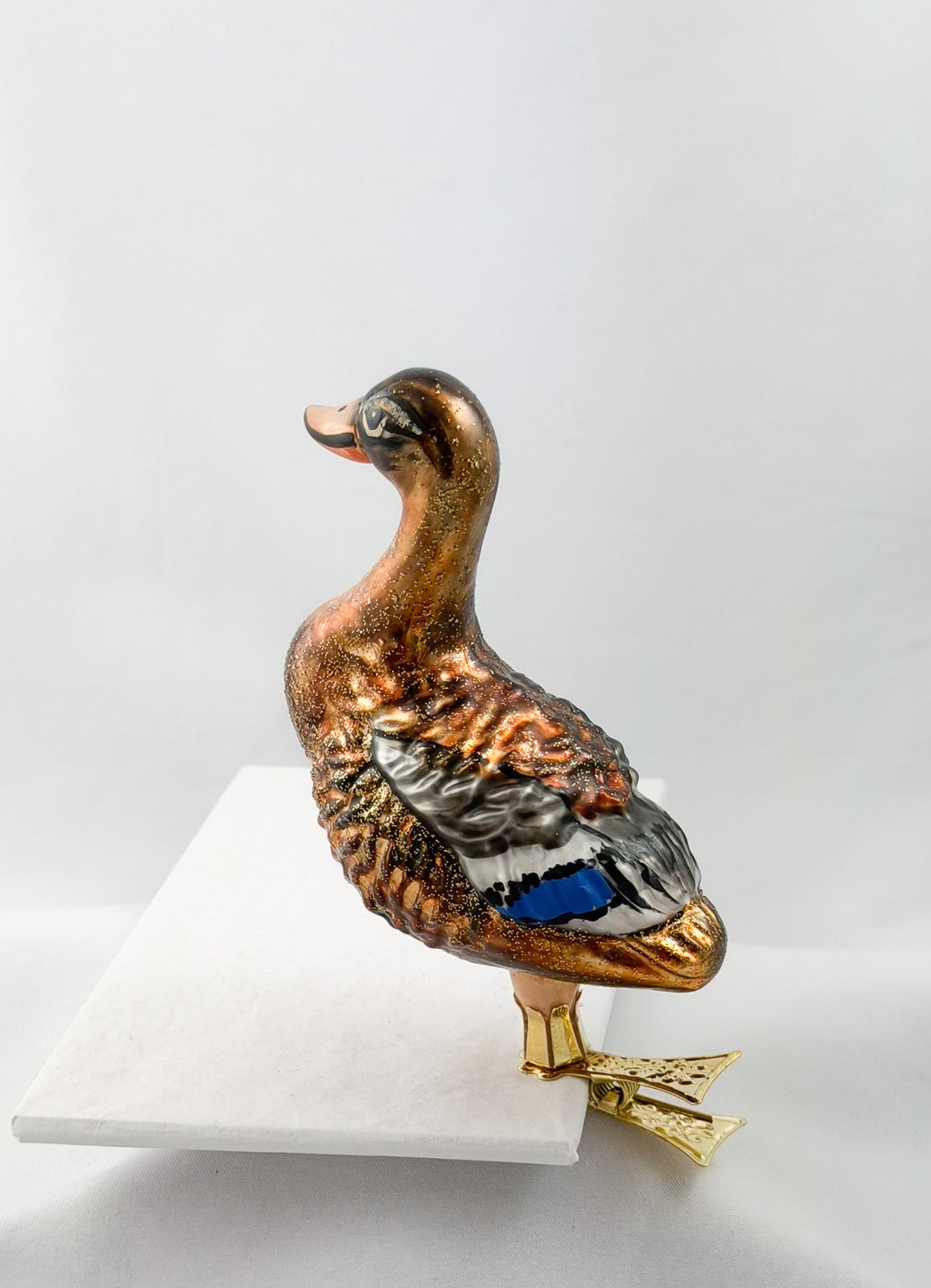 Stock-Enten Weibchen auf Clip