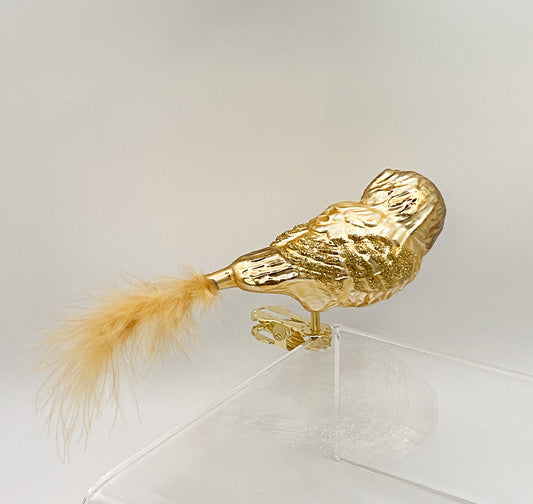 Goldenes Käuzchen mit buschigem Federnschwanz auf Clip