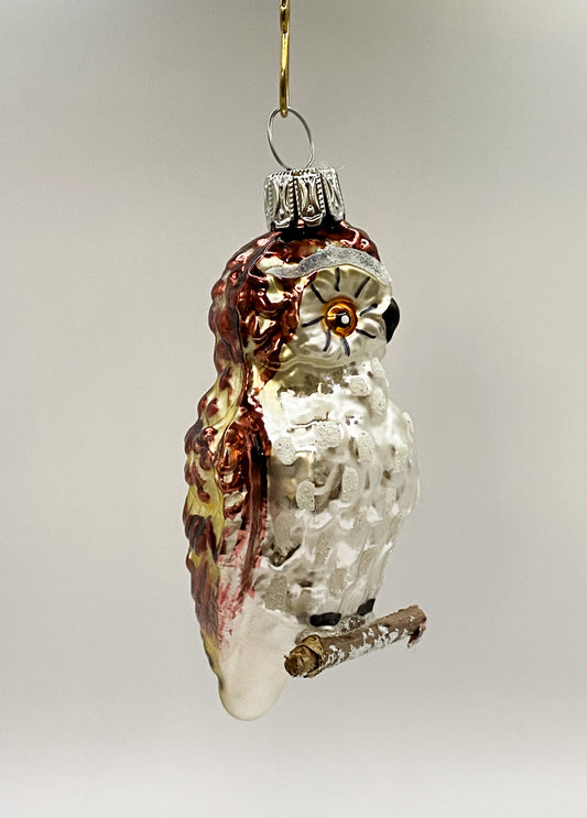 Die Eule sitzt auf einem Zweig