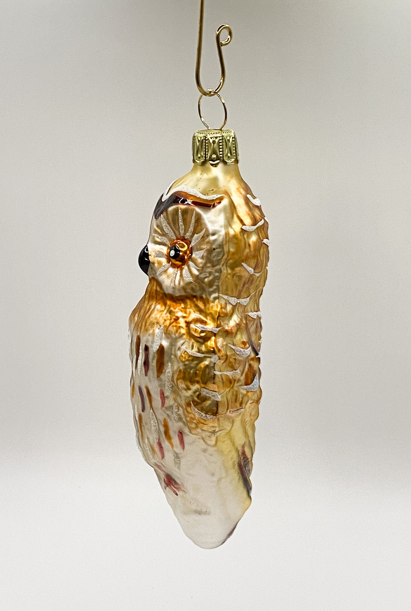 Goldbraune Eule