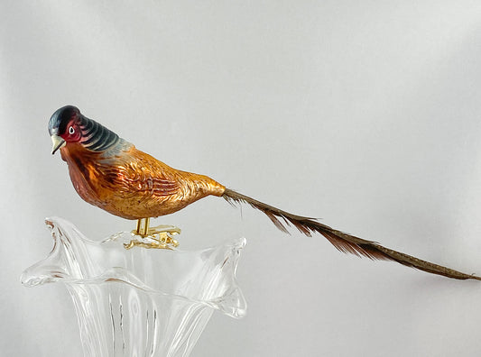 Jagdfasan mit langer Fasanenfeder auf Clip