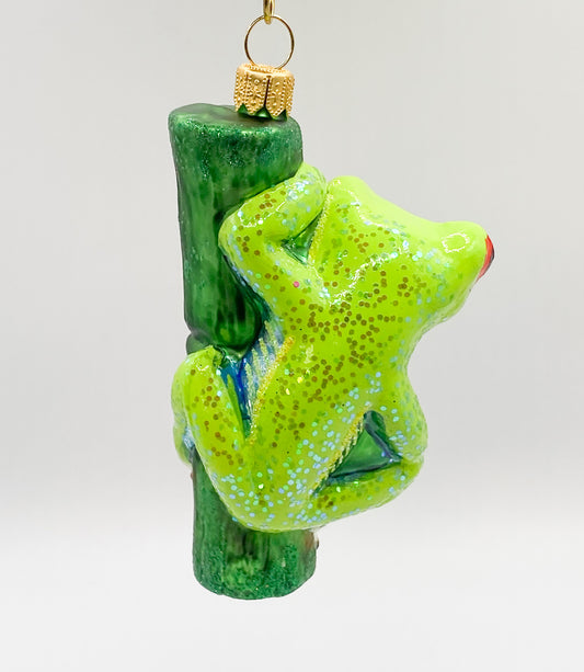 Lustiger Frosch am Grashalm