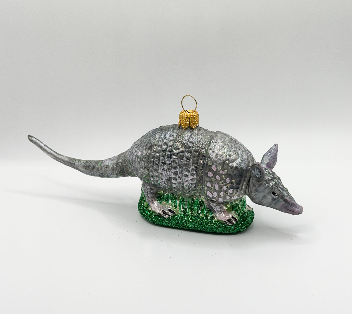 Chacoan naked-tailed armadillo