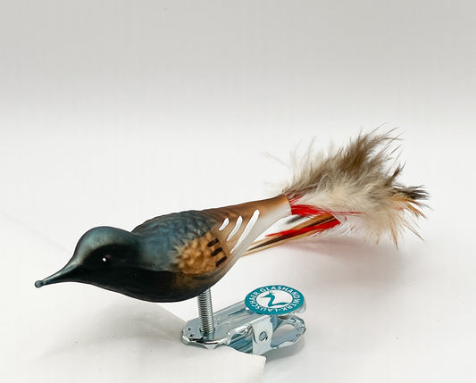 Kleiner Hausrotschwanz