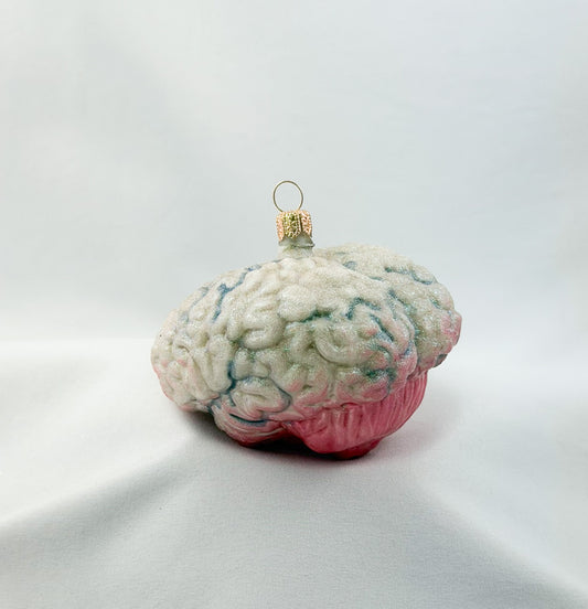 Brain