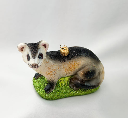 Polecat, Ferret