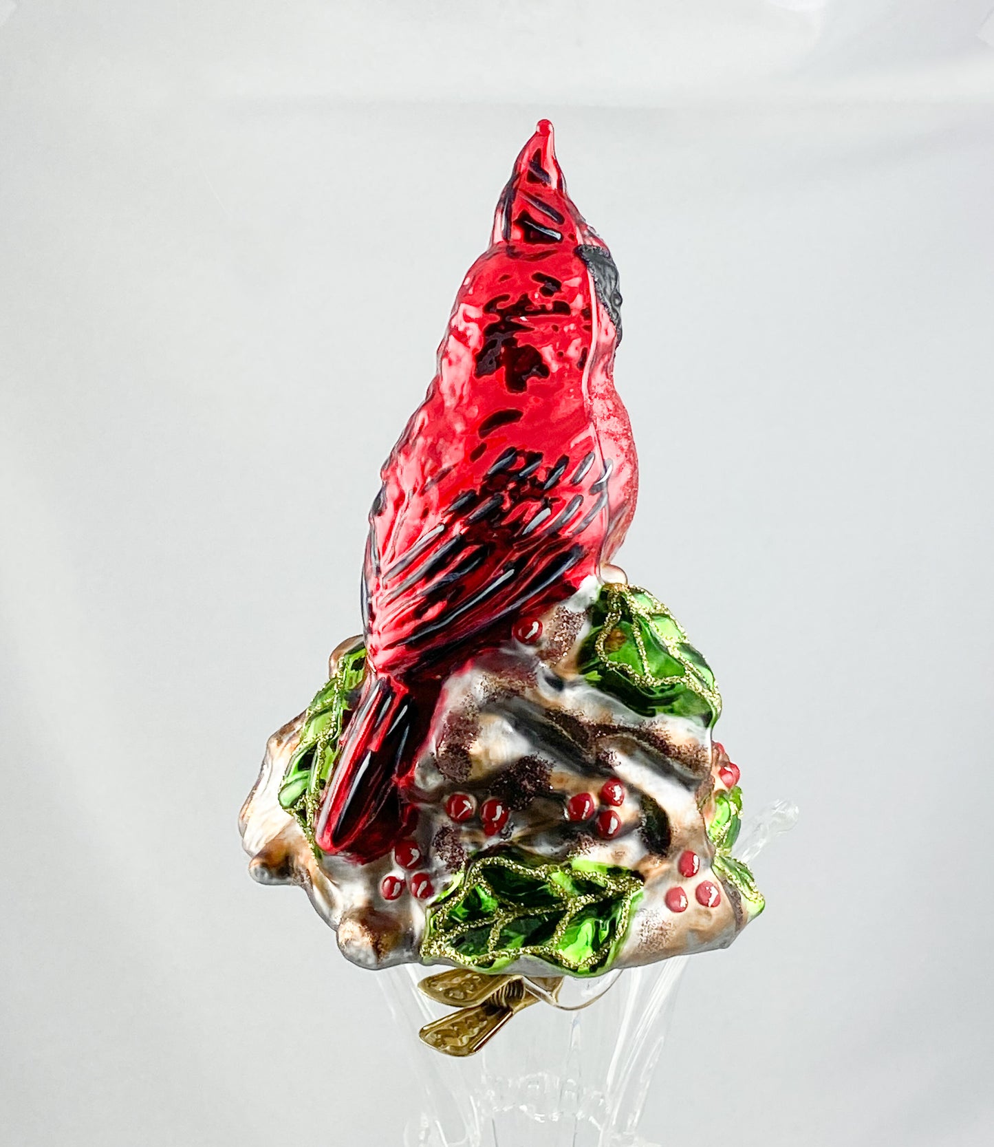 Roter Kardinal, Virgina Nachtigall sitzt vor dem Nest, auf Clip