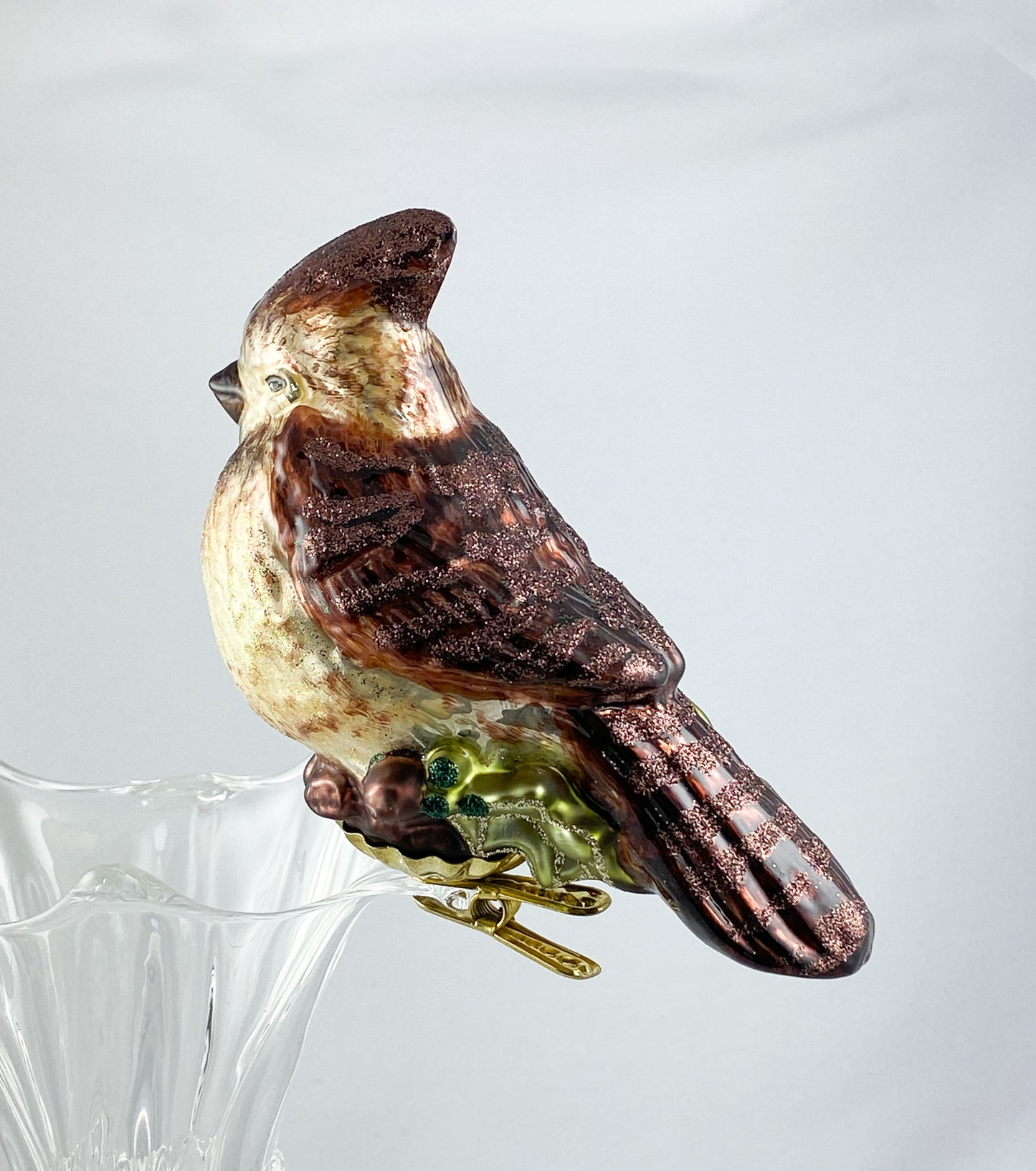 Brauner Kardinal auf Clip