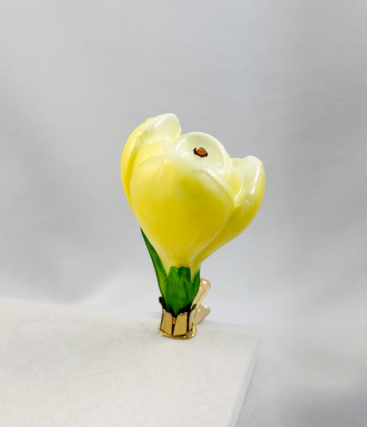 Yellow crocus blossom on clip
