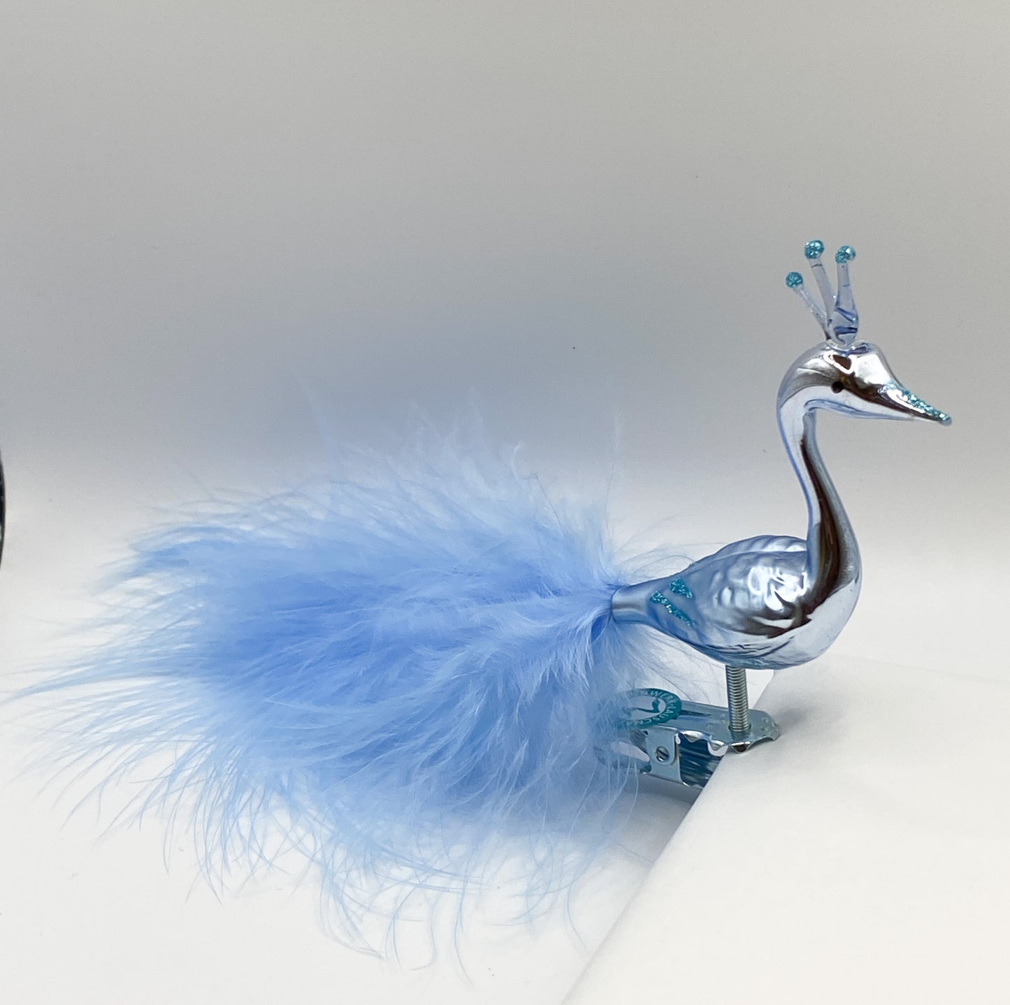Light blue peacock with crown and light blue down feathers