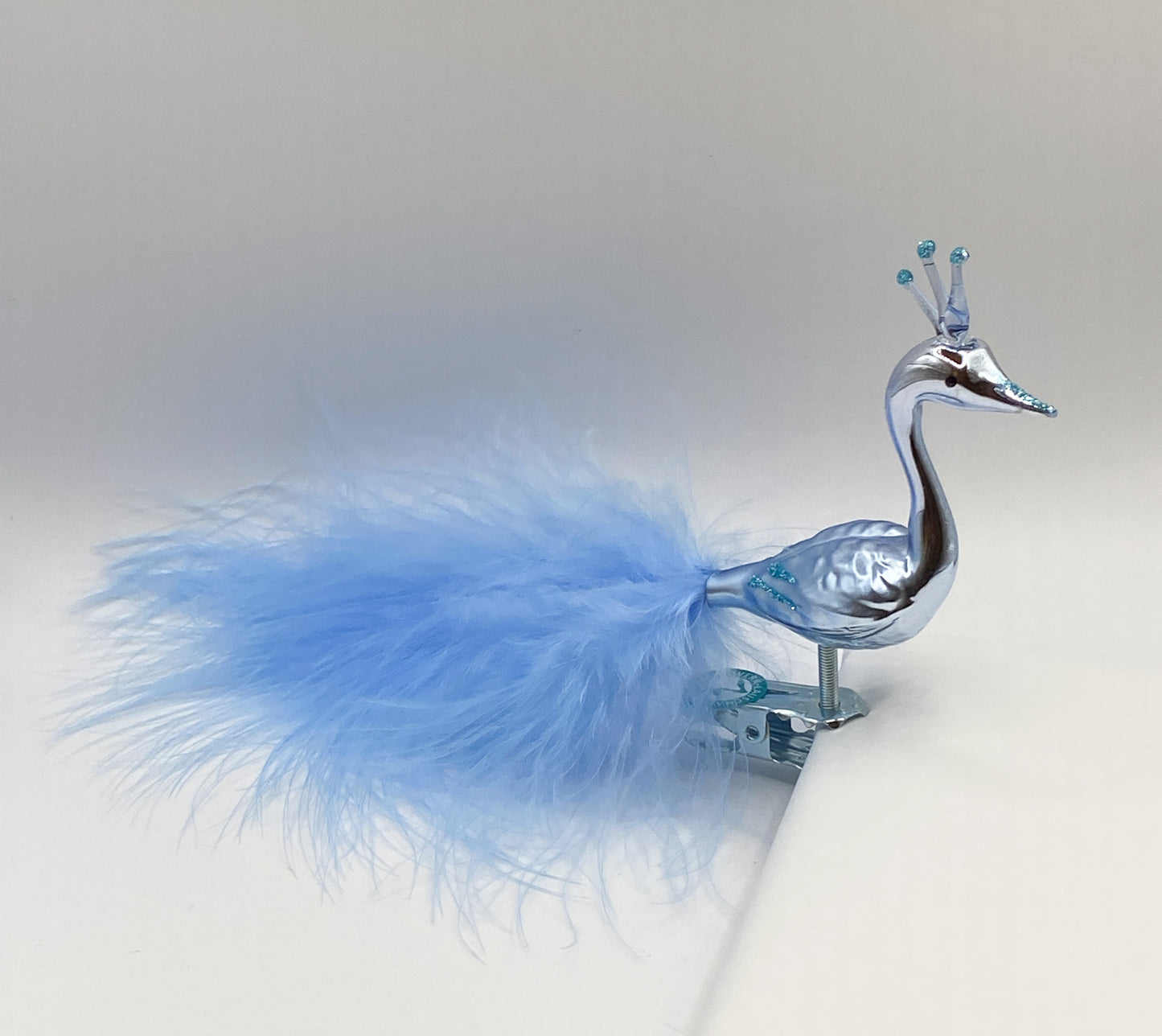 Light blue peacock with crown and light blue down feathers