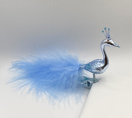 Hellblauer Pfau mit Krone und hellblauer Flaumfedern