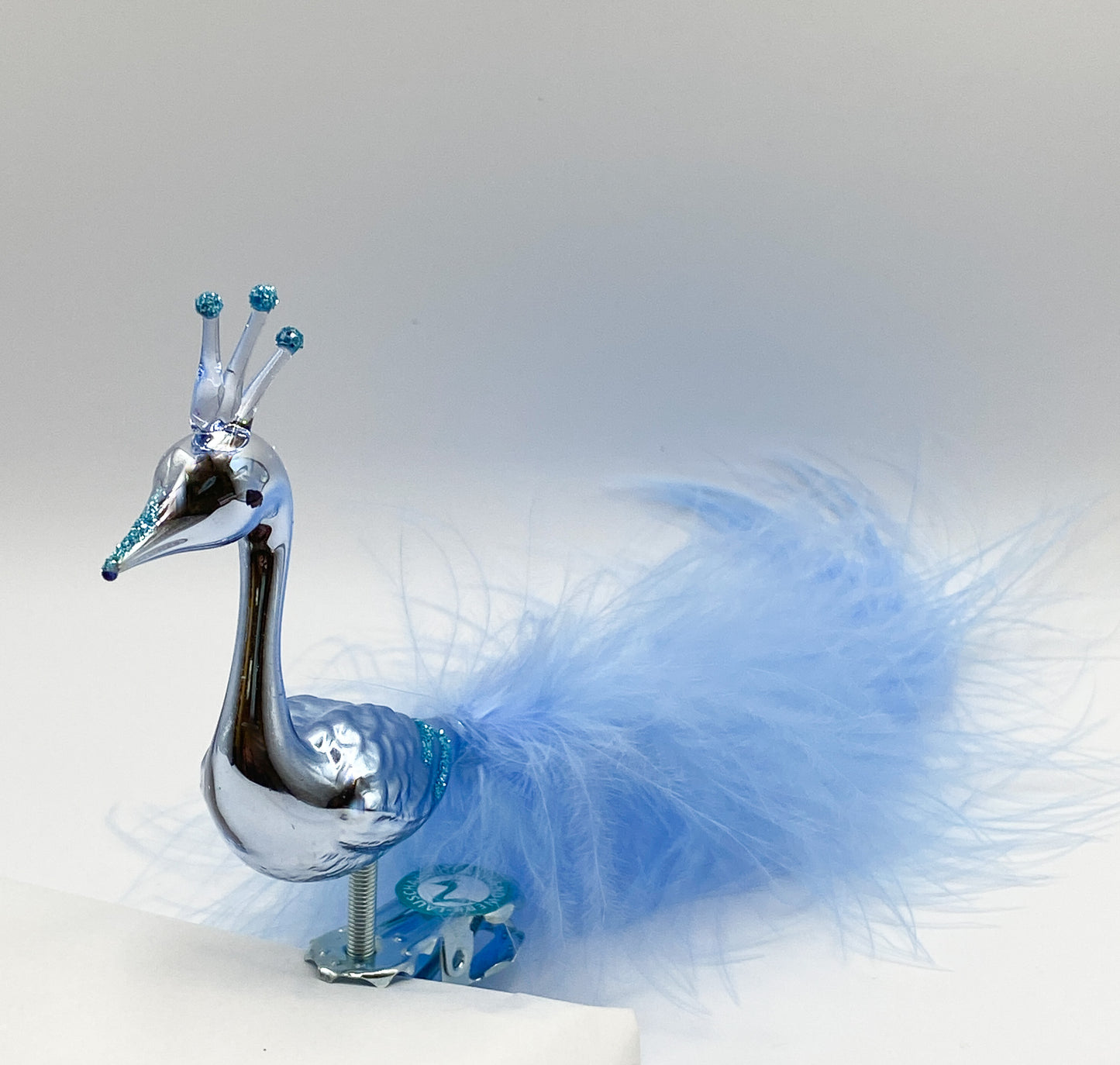 Light blue peacock with crown and light blue down feathers