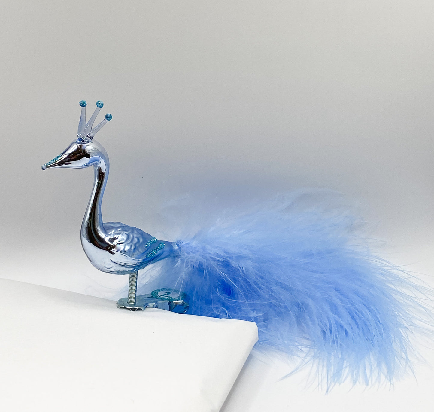 Light blue peacock with crown and light blue down feathers
