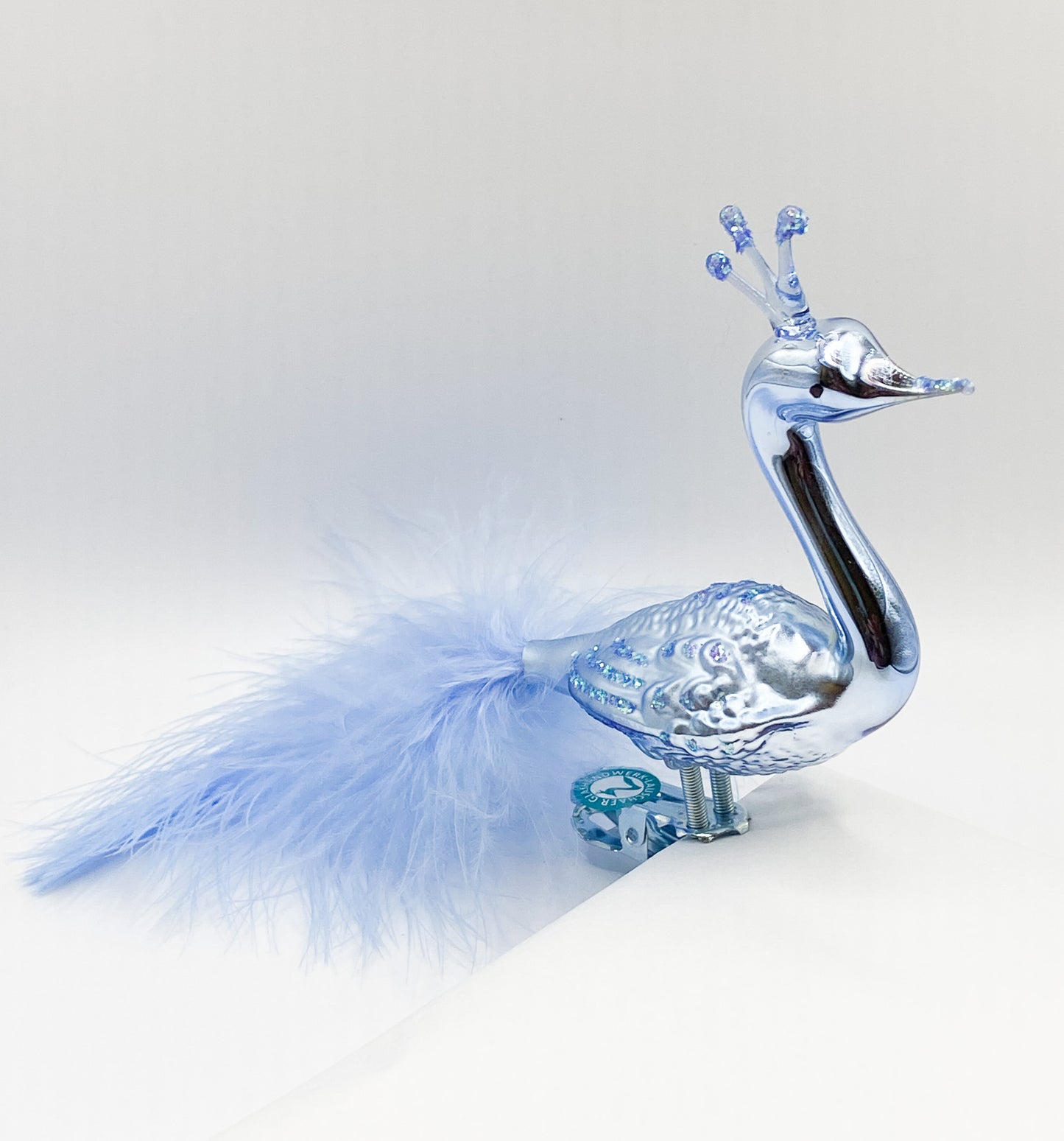 Large light blue peacock with crown and light blue down feathers