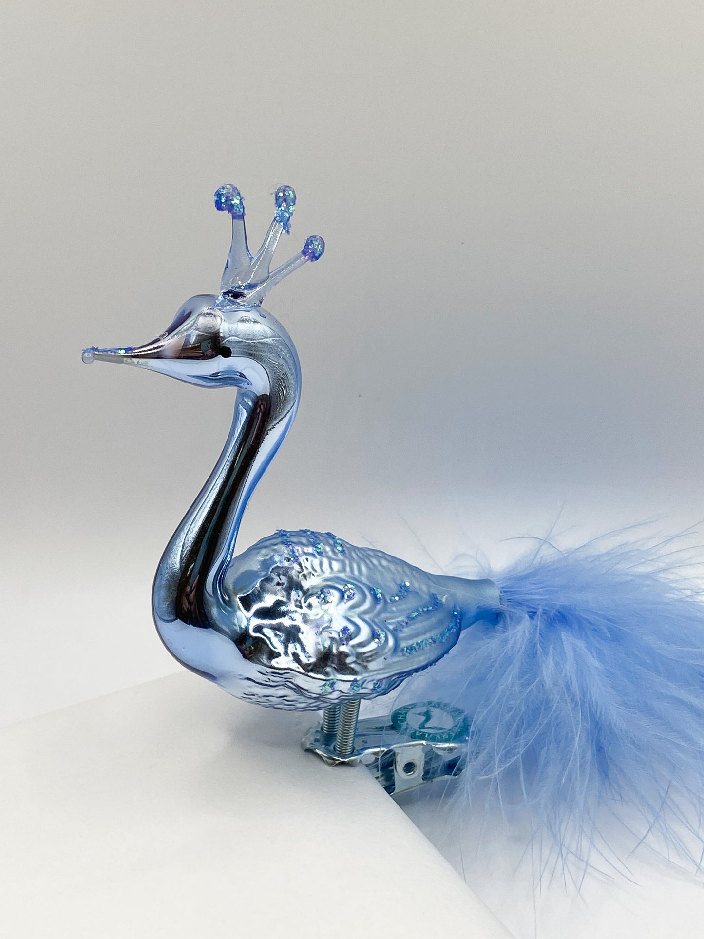 Large light blue peacock with crown and light blue down feathers